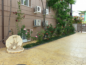 Фотогалерея resort